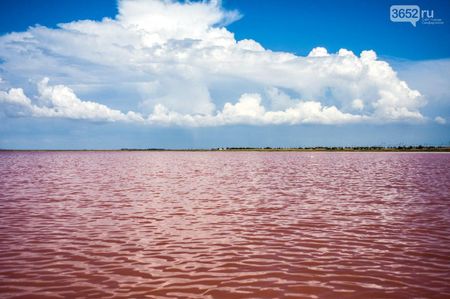 В Крыму есть розовое озеро