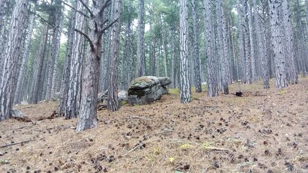 Этот камень друзья нарекли большой черепахой