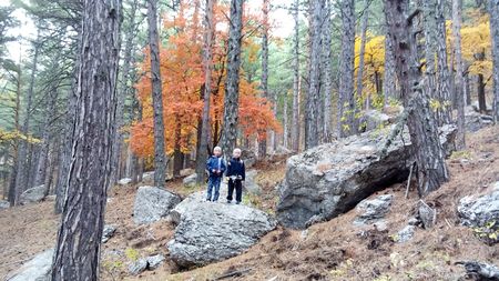 Лес с большими камнями особенно очарователен в это время года.