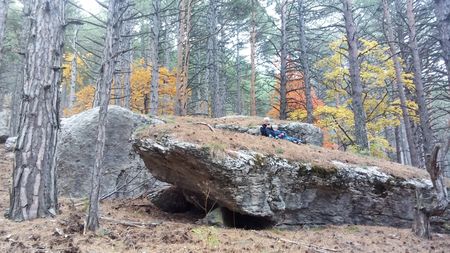 Камень похож на большую касатку.