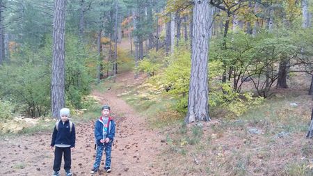 Путь по многоцветному лесу продолжается.