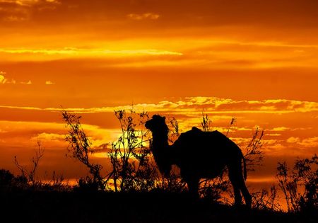 В узбекской пустыне есть «море» Айдаркуль и свой «Париж»