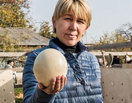 Зачем узбекам страусы