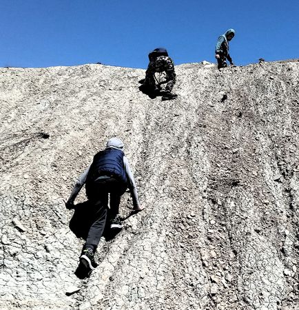 Вова, Миша и Асан поднялись по крутому склону на вершину мелового гребня