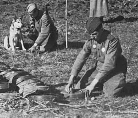 Сапер Куртвапов обезвредил 63 немецкие мины