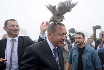 Турецкому президенту Реджепу Тайипу Эрдогану во время праздника на голову села куропатка.