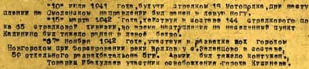 Приказом №09/н от 28.01.1945 по 60гв СД 5УдА гвардии старшина Риза Ибадулаев был награждён орденом «Красной Звезды».