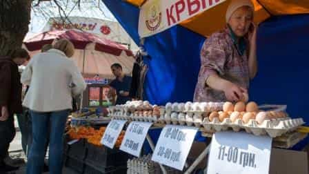 Чем будет кормиться Крым?