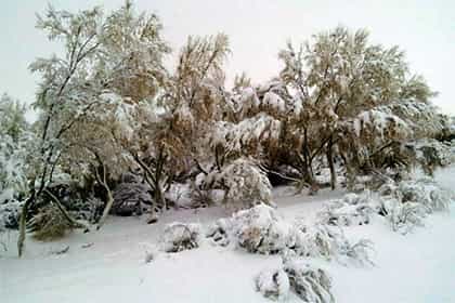 Пустыню Кызылкум снегом завалило