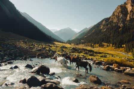 Киргизия хранит сердце кочевника
