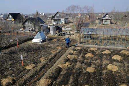 Для региональных бюджетов дачники - важный источник дохода Для региональных бюджетов дачники - важный источник дохода