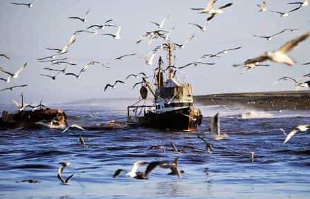 Крымские рыболовы просят помощи у государства