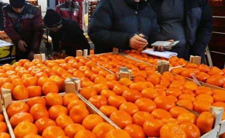 Турция кормит Крым фруктами