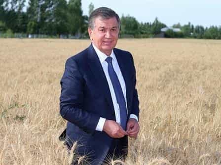 Узбекистан реорганизует системы управления сельским и водным хозяйством