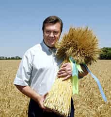 Земельная реформа — приоритет и для Януковича