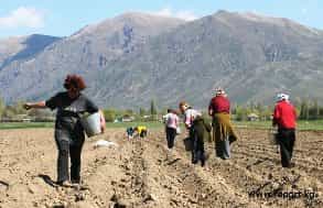 США подадут Киргизии миллиард