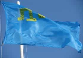 Татары требуют, чтобы Янукович действовал