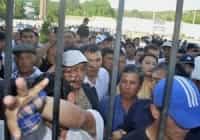 Беспорядки по плану