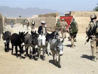 На выборы в Афганистане мобилизовали 3000 ослов