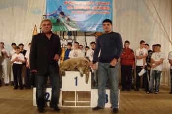Илимдар Саидов подвердил свое звание лучшего курешиста