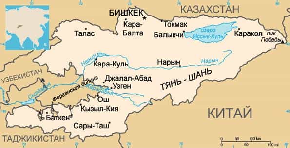 Турки хотят киргизские орехи и фасоль