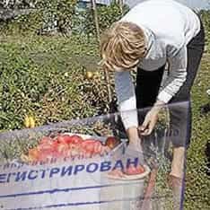 Крымские депутаты хотят разрешить прописку на дачах