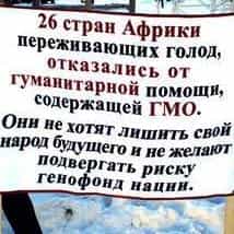 Грозят ли миру продуктовые  войны?