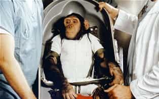Иран запустил в космос обезьяну
