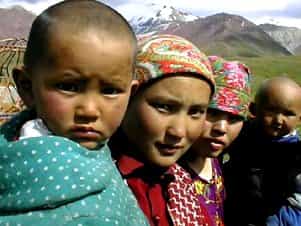 В Кыргызстан «понаехали» кайрылманы