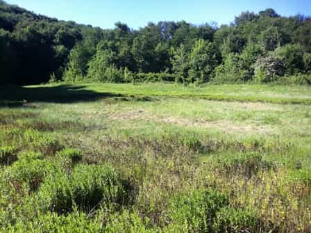 Здесь было озеро Караголь