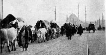 Крупная волна эмиграции в Турцию была вызвана Кавказской войной