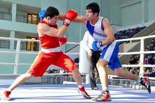 В Узбекистане прошел чемпионат по боксу