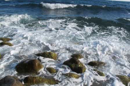 Чудный крымский воздух пропитан запахами моря, южного леса, свободы и отчаянных ожиданий светлого будущего Чудный крымский воздух пропитан запахами моря, южного леса, свободы и отчаянных ожиданий светлого будущего